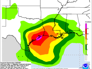 Harvey Rainfall Forecast