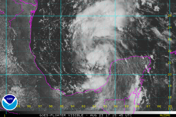 Harvey Satellite