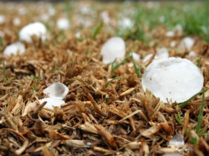 Hail on Grass