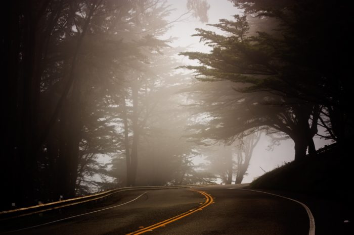 Foggy Roadway