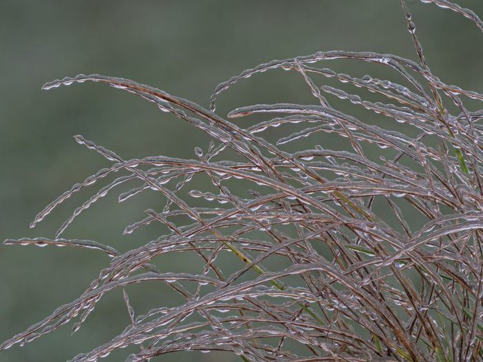 Freezing Rain Ice