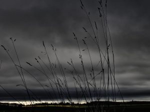 Storm Sky Plains