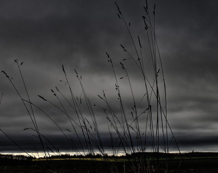 Storm Sky Plains